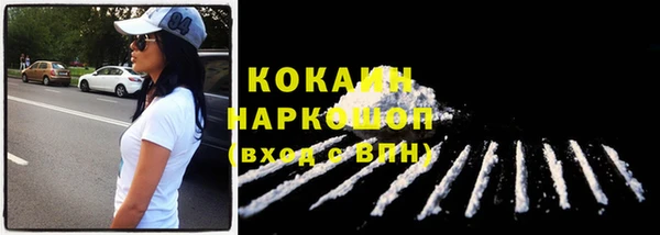 спиды Корсаков