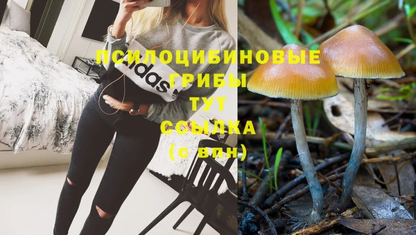 герыч Костерёво