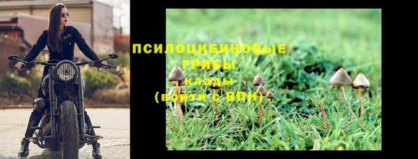 спиды Корсаков
