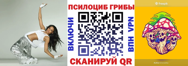 Купить  Дедовск  Псилоцибиновые грибы Psilocybine cubensis 